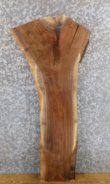 Black Walnut Live Edge Rustic Accent/Side Table Top Slab 1723